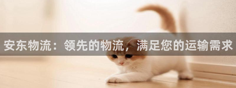 28圈注册地址：安东物流：领先的物流