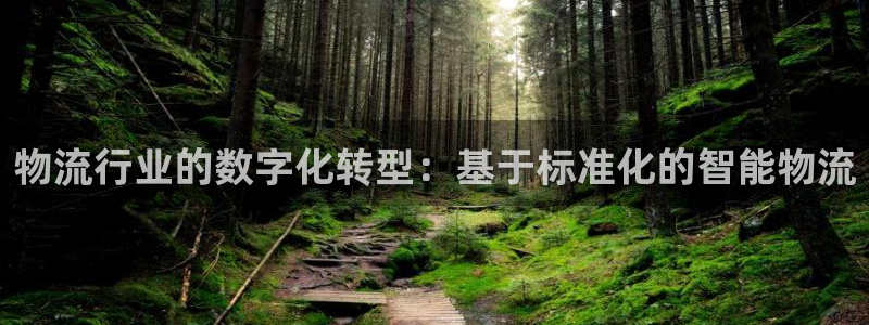 28圈注册网站谁有：物流行业的数字化