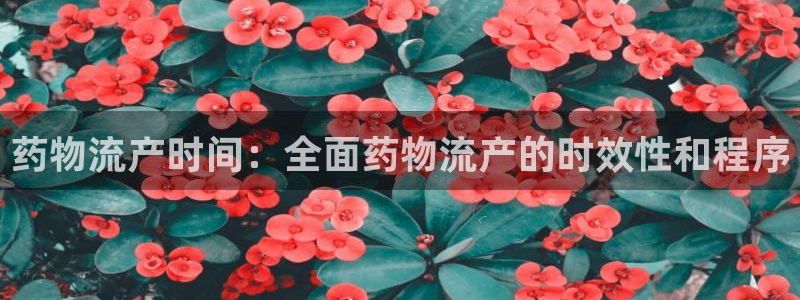 28圈p扣款什么意思