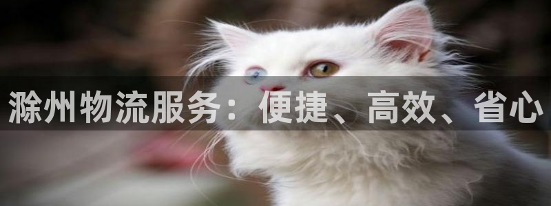 28圈官网版2024