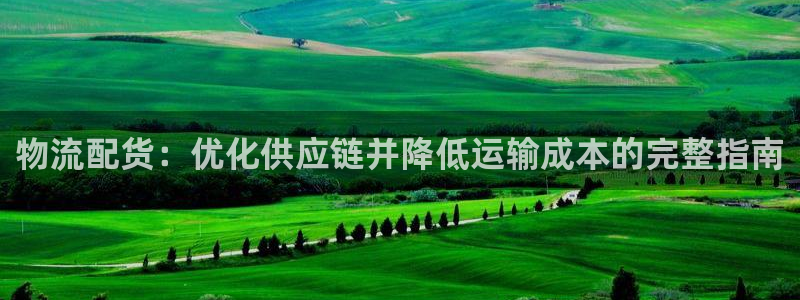 28圈充值不到账什么原因