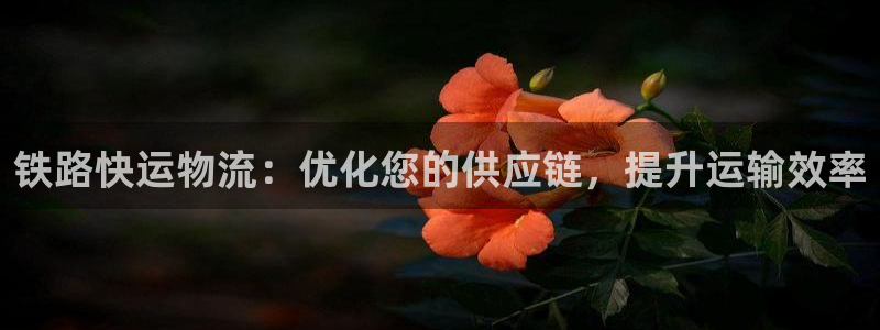 28圈防失联网址：铁路快运物流：优化