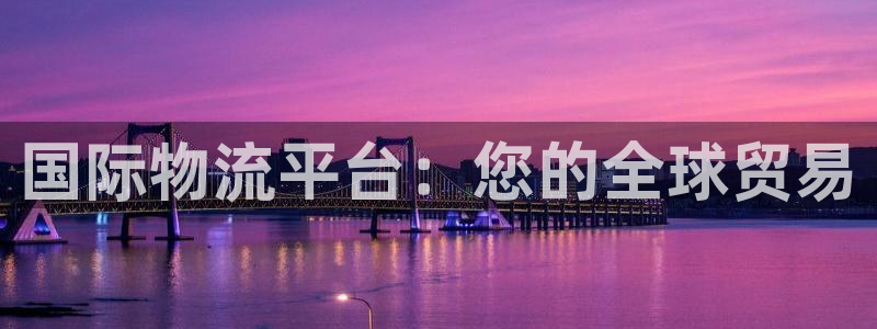 28圈游戏官网版：国际物流平台：您的