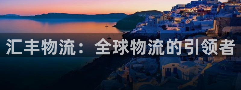 28圈官网版所有版本：汇丰物流：全球