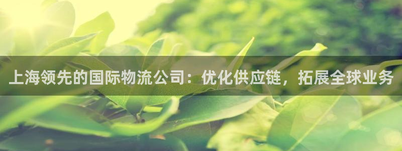 28圈合法吗：上海领先的国际物流公司