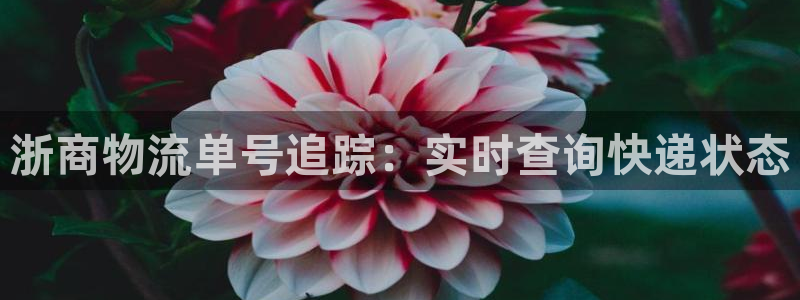 28圈预测