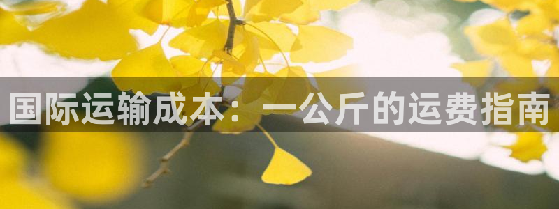 28圈网赌有什么风险：国际运输成本：