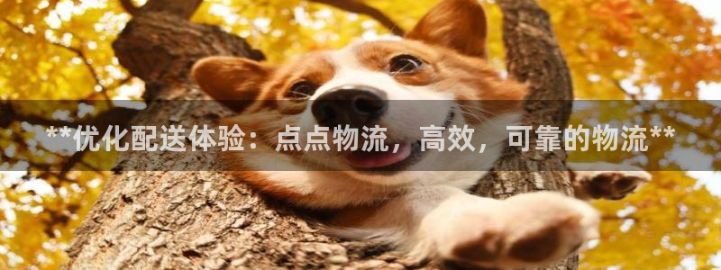 28圈注册二维码：**优化配送体验：