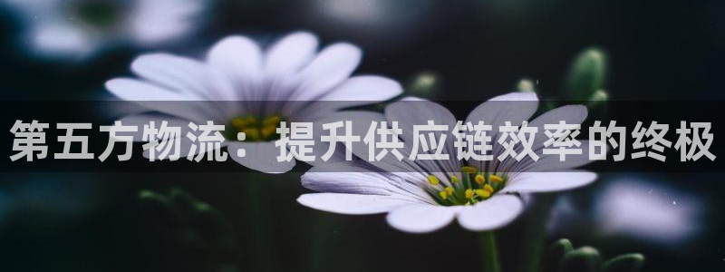 28圈充值不到账：第五方物流：提升供