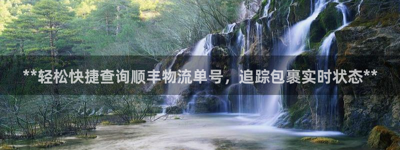 28圈注册登录流程：**轻松快捷查询
