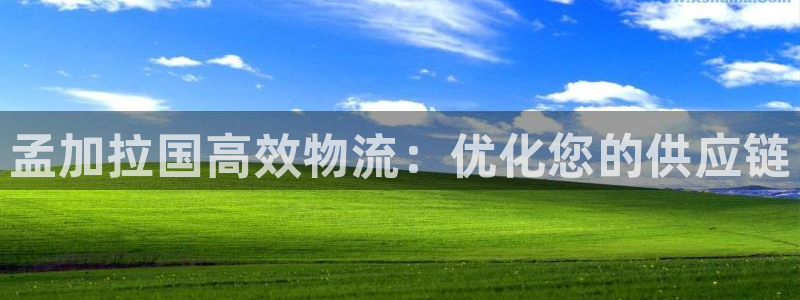 28圈游戏链接