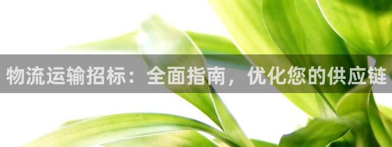 28圈提现不到账：物流运输招标：全面