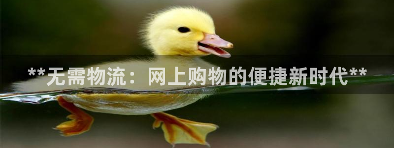 28圈初始资金密码在哪里改：**无需