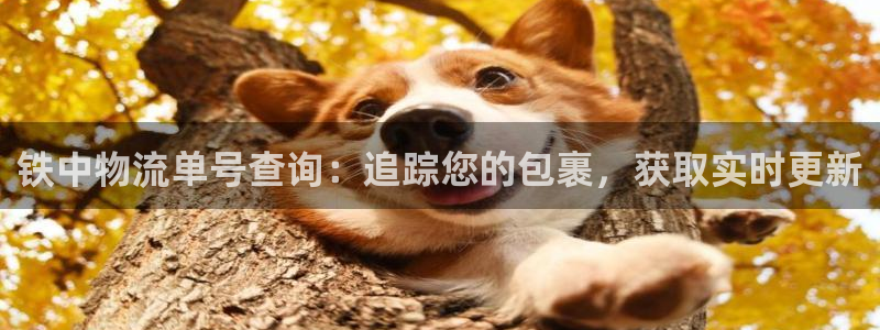 28圈推广链接是多少