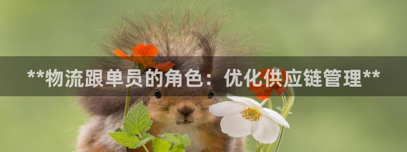 28圈是什么是赌博吗?：**物流跟单