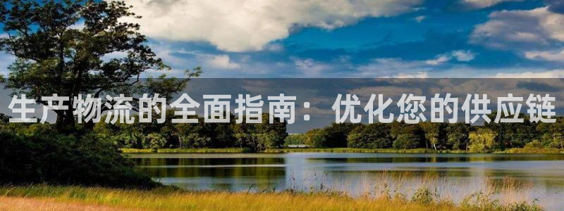 28圈麻将：生产物流的全面指南：优化