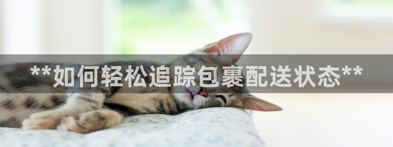 28圈初始资金密码是什么