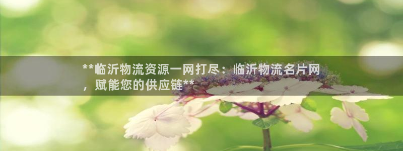 28圈能提现吗：**临沂物流资源一网