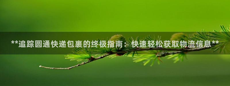 28圈官方网站预测