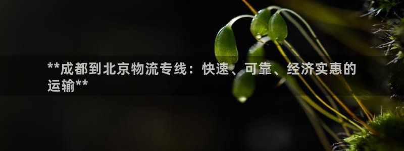 28圈昵称