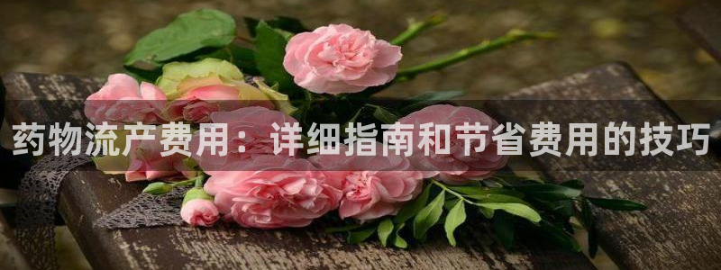 28圈官网多少