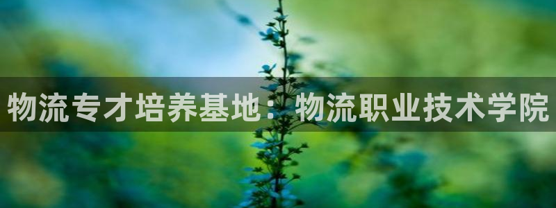 28圈充值不到账什么原因