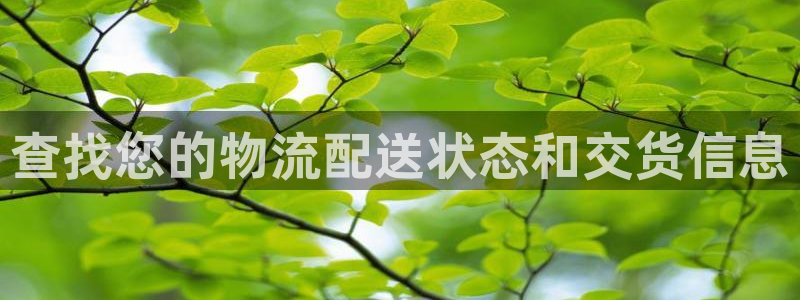 28圈初始资金密码是什么