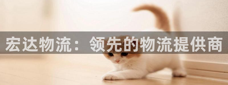 28圈大舞台