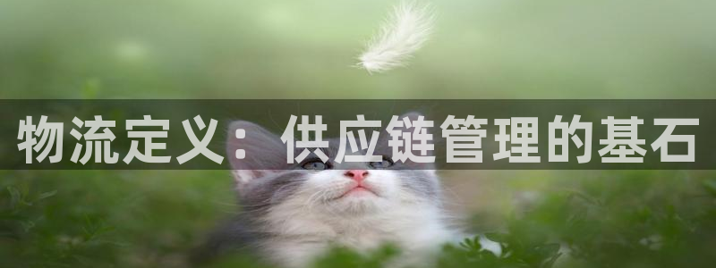 28圈人头费