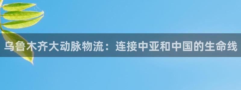 28圈预测：乌鲁木齐大动脉物流：连接