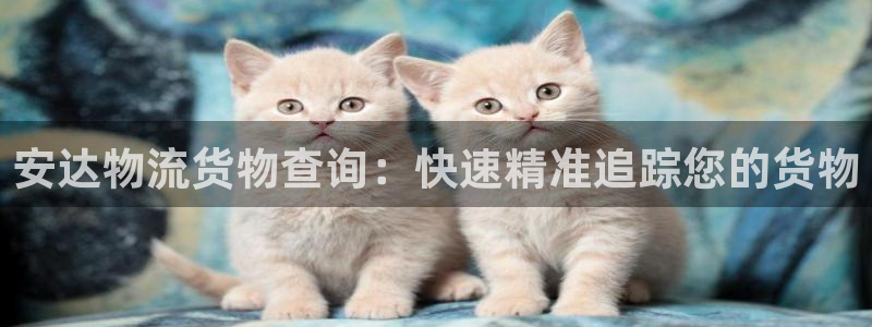 28圈登陆网