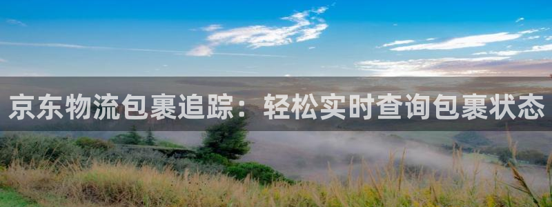 28圈软件是什么：京东物流包裹追踪：