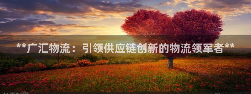 28圈.ccm官网：**广汇物流：引