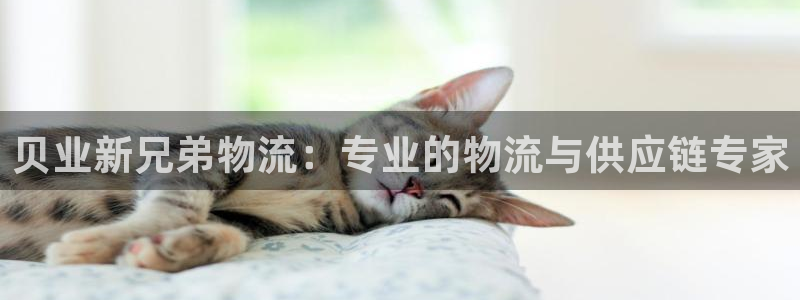 28圈官网版所有版本