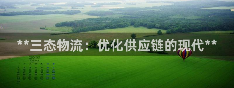 28圈如何看计划：**三态物流：优化
