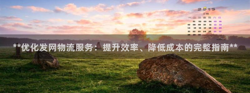 28圈.ccm：**优化发网物流服务