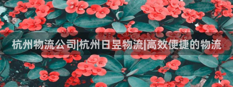 28圈怎么注册游戏名字：杭州物流公司