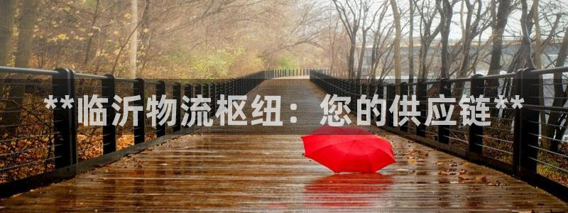 28圈注册网站链接怎么弄：**临沂物