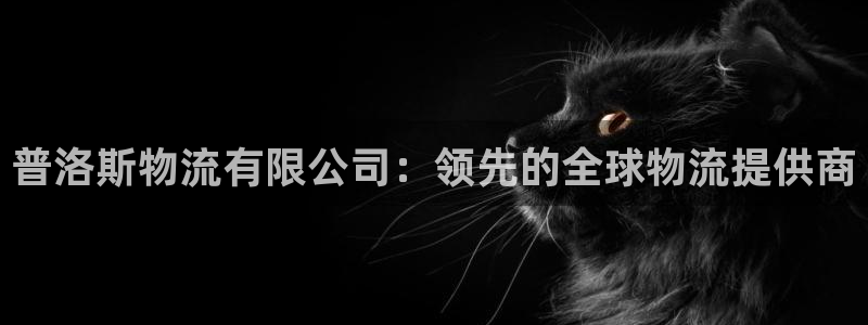 28圈ccm官网版：普洛斯物流有限公