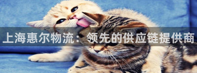 28圈官方平台：上海惠尔物流：领先的