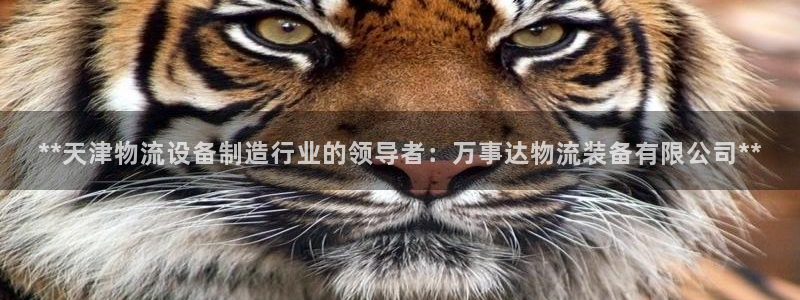 28圈加拿大官网
