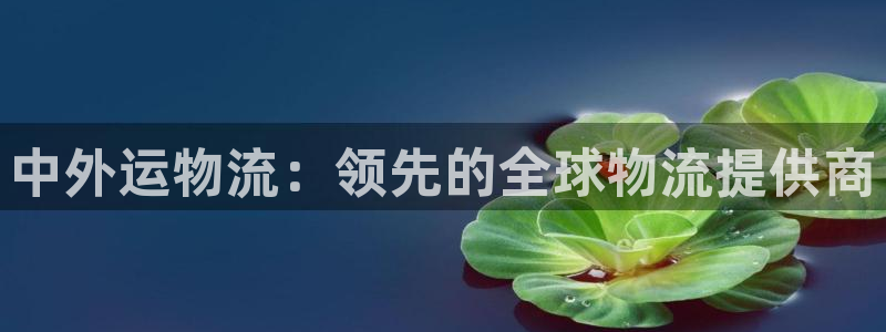 28圈登录网：中外运物流：领先的全球