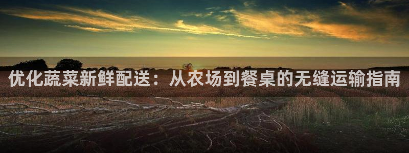 28圈p扣除：优化蔬菜新鲜配送：从农