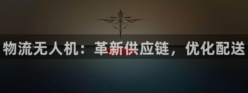 28圈技巧：物流无人机：革新供应链，