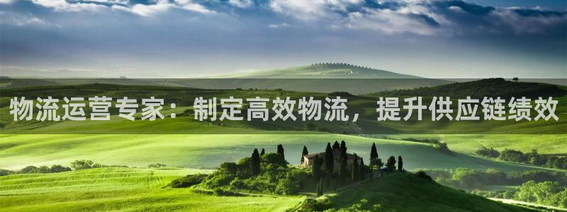 28圈注册网址百度知道：物流运营专家