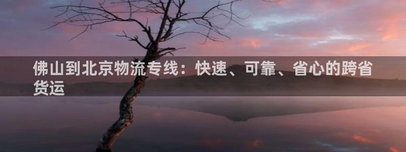 28圈加拿大预测