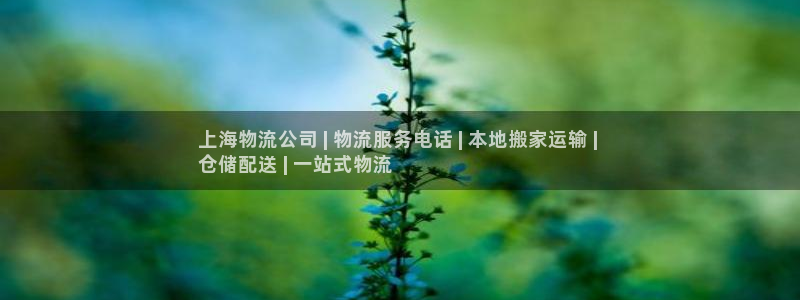 28圈流水怎么算：上海物流公司 | 