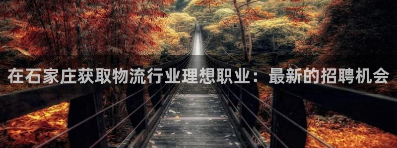 28圈app官网少林足球