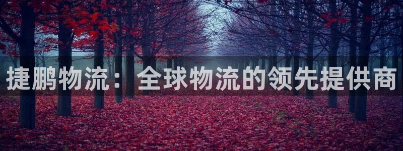 28圈注册网站APP：捷鹏物流：全球