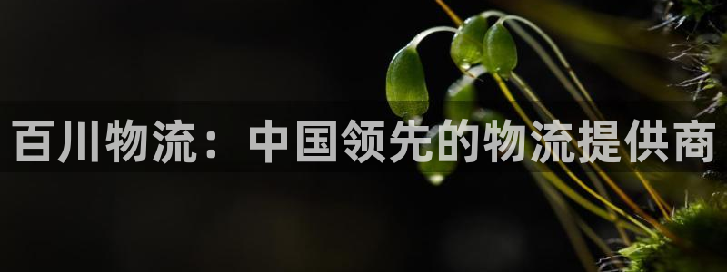 28圈可以退款吗